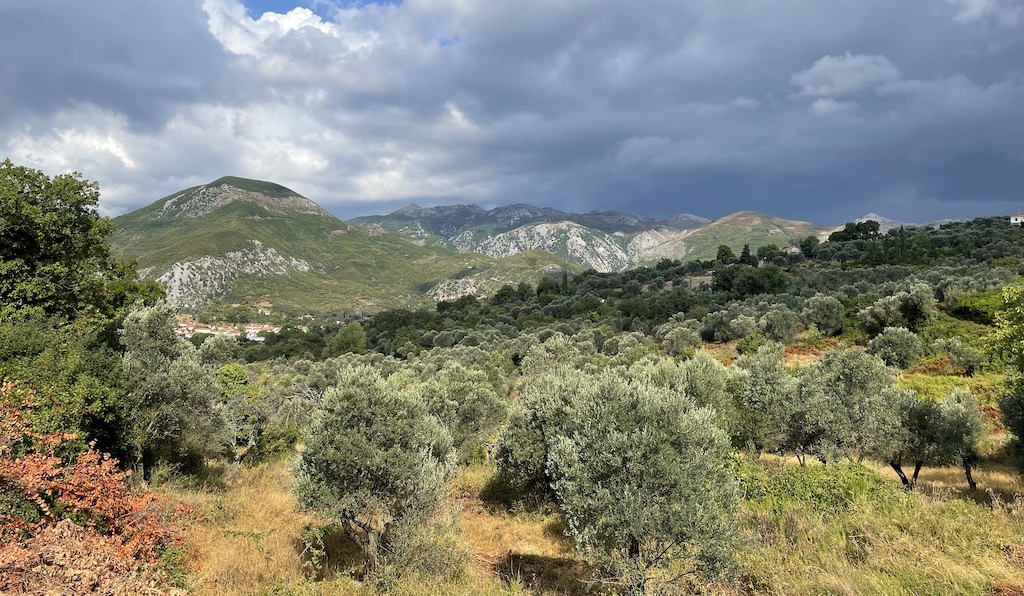 olive-groves-retreat evia