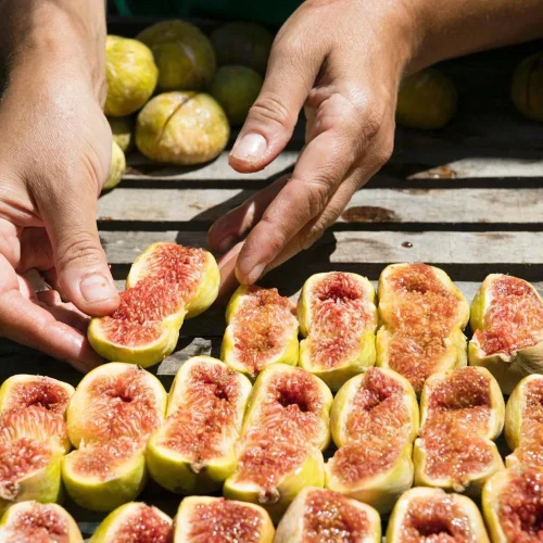 dry figs kymi evia